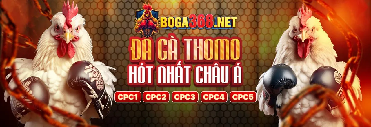 Tin tức Bayvip link vào mới nhất 2026