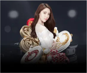 Biểu đồ thể hiện các loại dữ liệu mà Bayvip thu thập từ người dùng